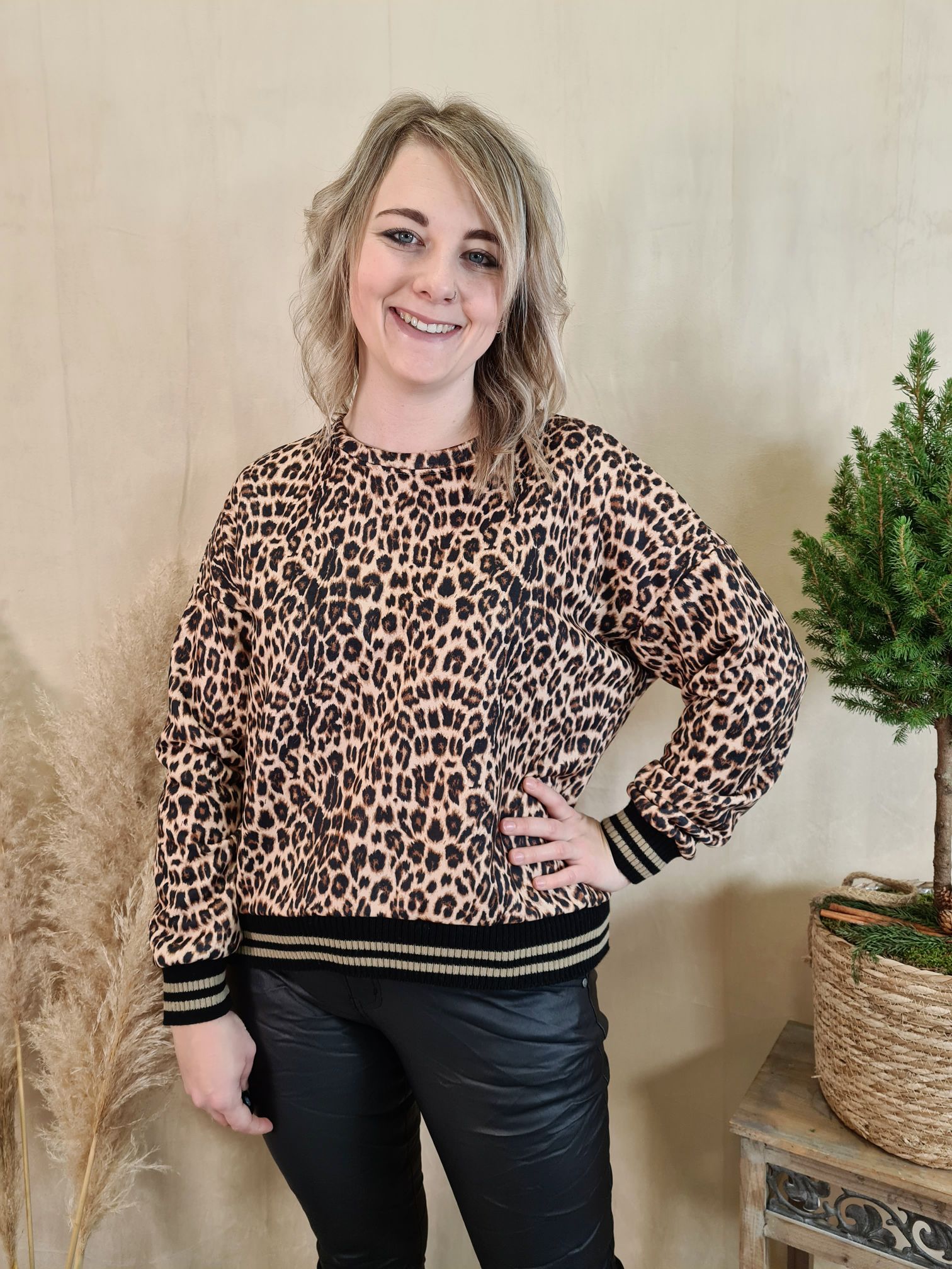 BASIC SWEATER NALA LEO BRAUN Made in Italy Langarm Shirt Sweatshirt 34-42 versch. Farben